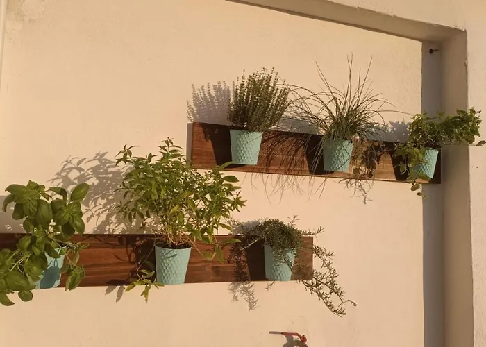 Domus Vacanze Romane